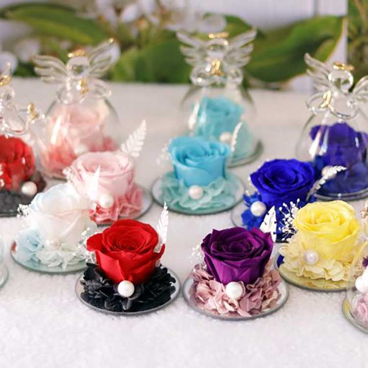 Ангельська вічна троянда